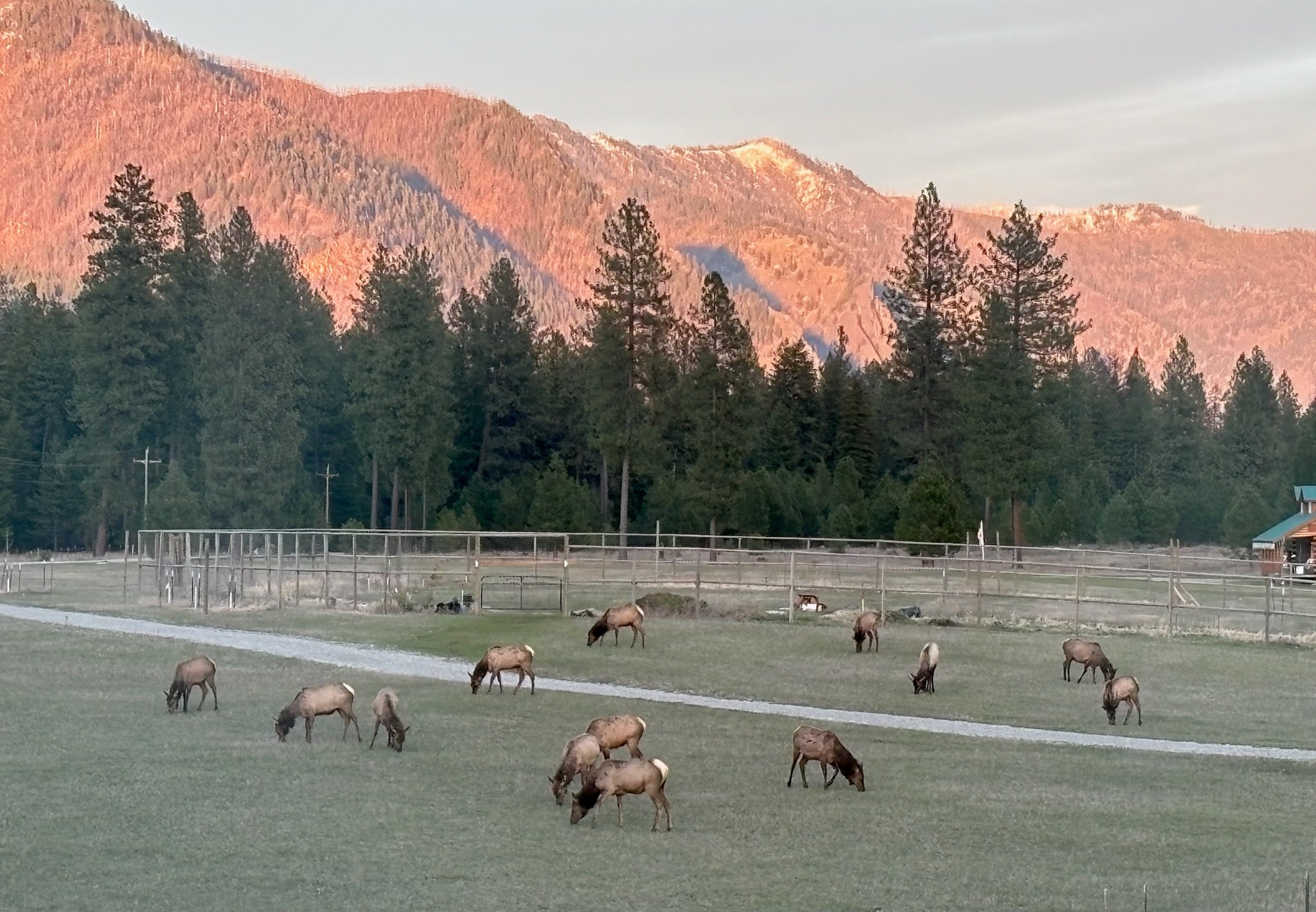 64 Cherry Creek Road Thompson Falls, MT 59873 - Photo 65 of 90 Gallery Image 65