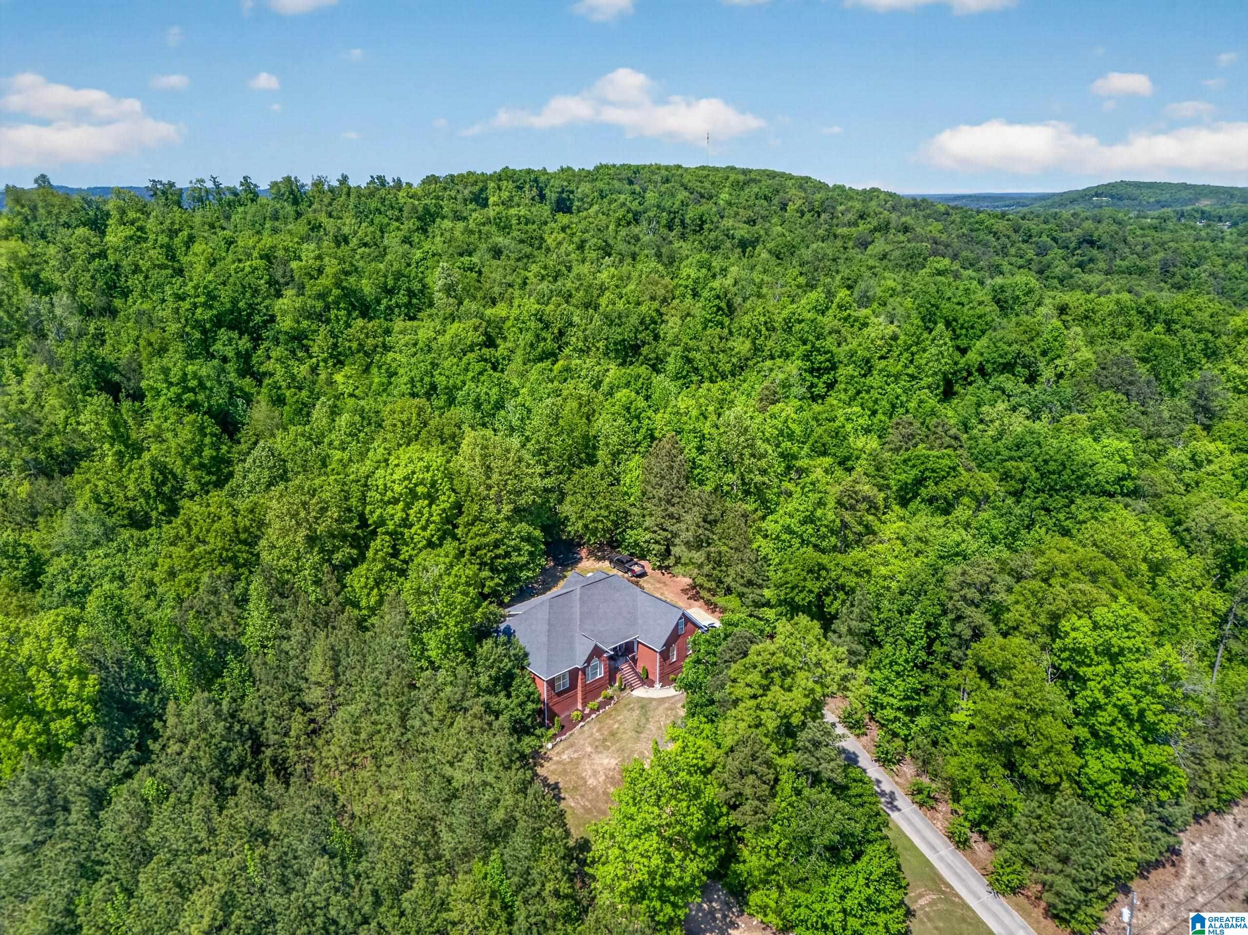 6074 Chula Vista Road Gadsden, AL 35907 - Photo 41 of 44