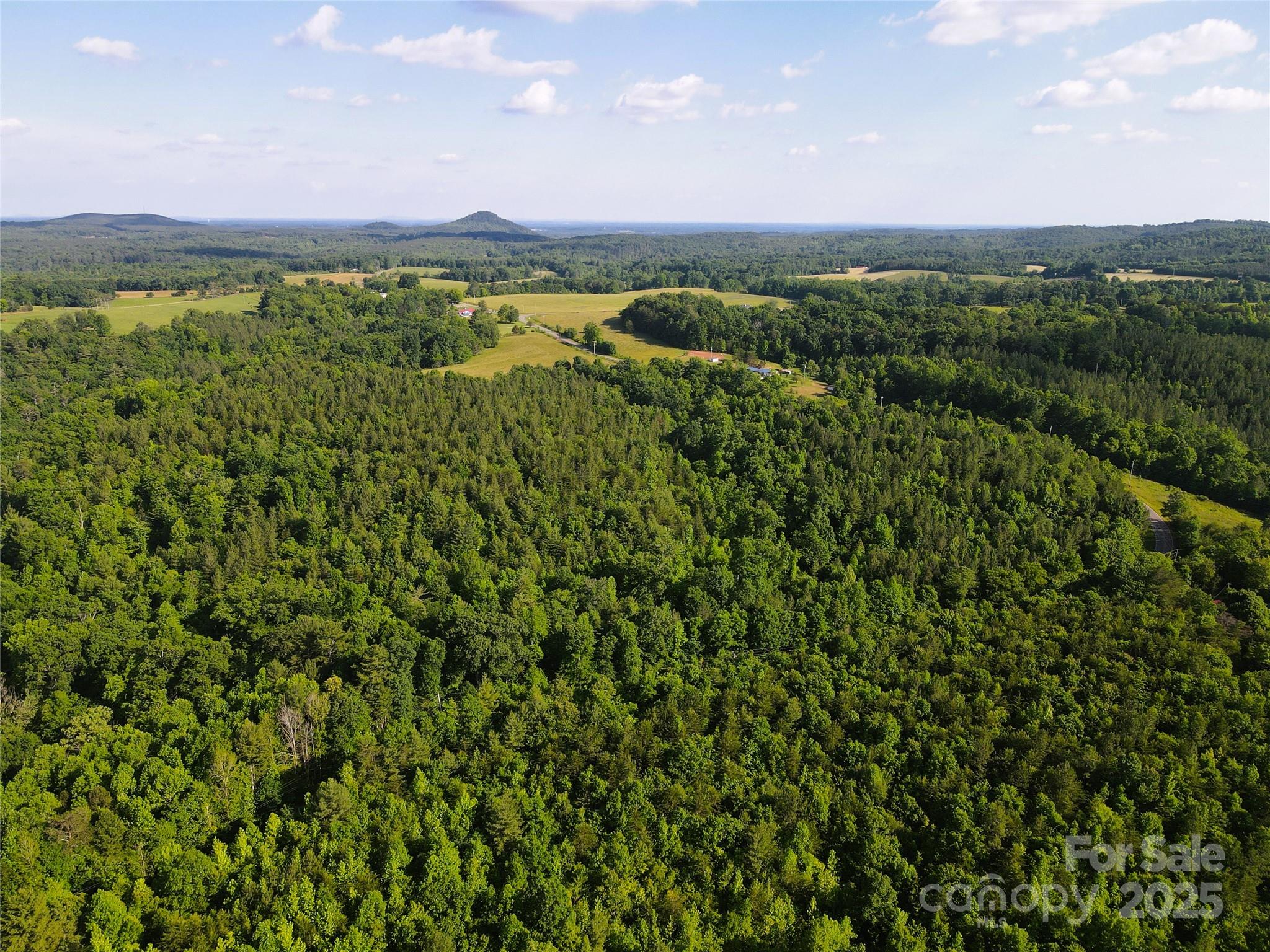 3 Rhoney Road Connelly Springs, NC 28612 - Photo 11 of 22 Gallery Image 11