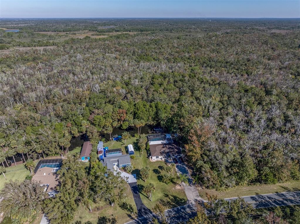 9781 West Halls River Road Homosassa, FL 34448 - Photo 52 of 59 a view of a green field