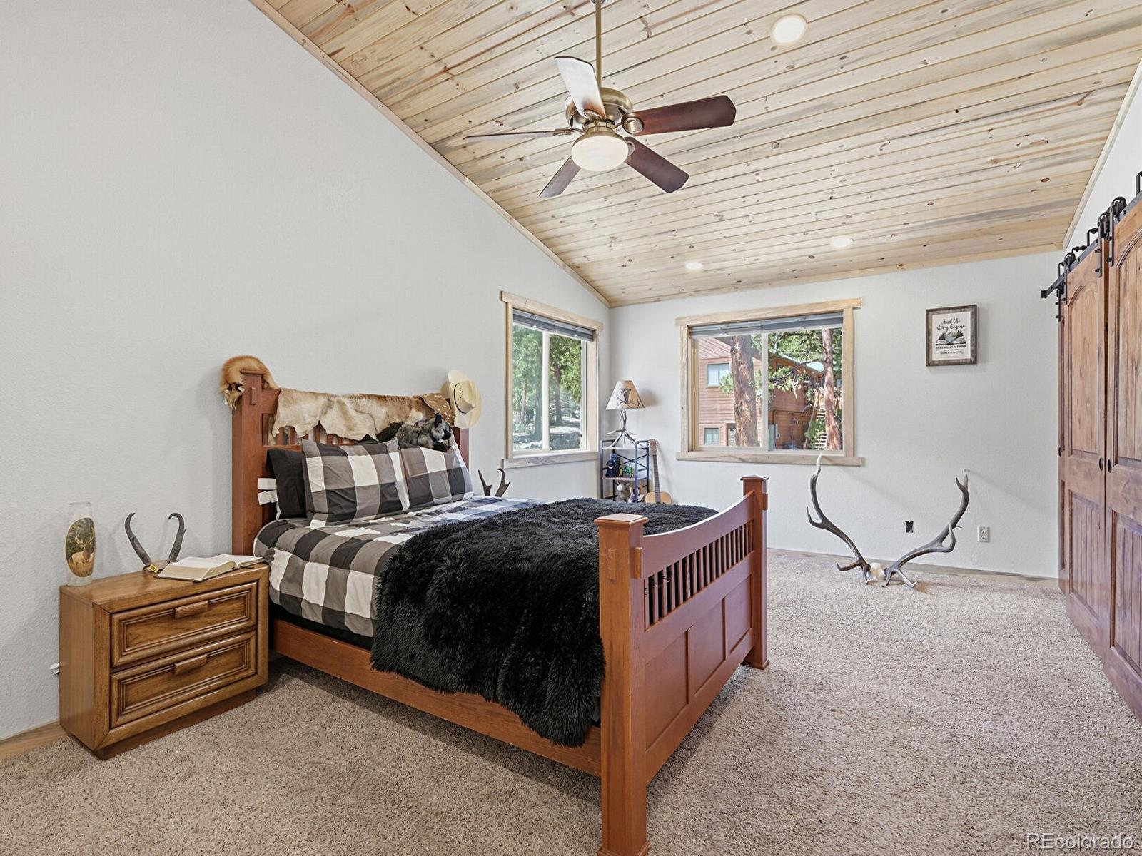 234 Impala Trail Bailey, CO 80421 - Photo 15 of 50