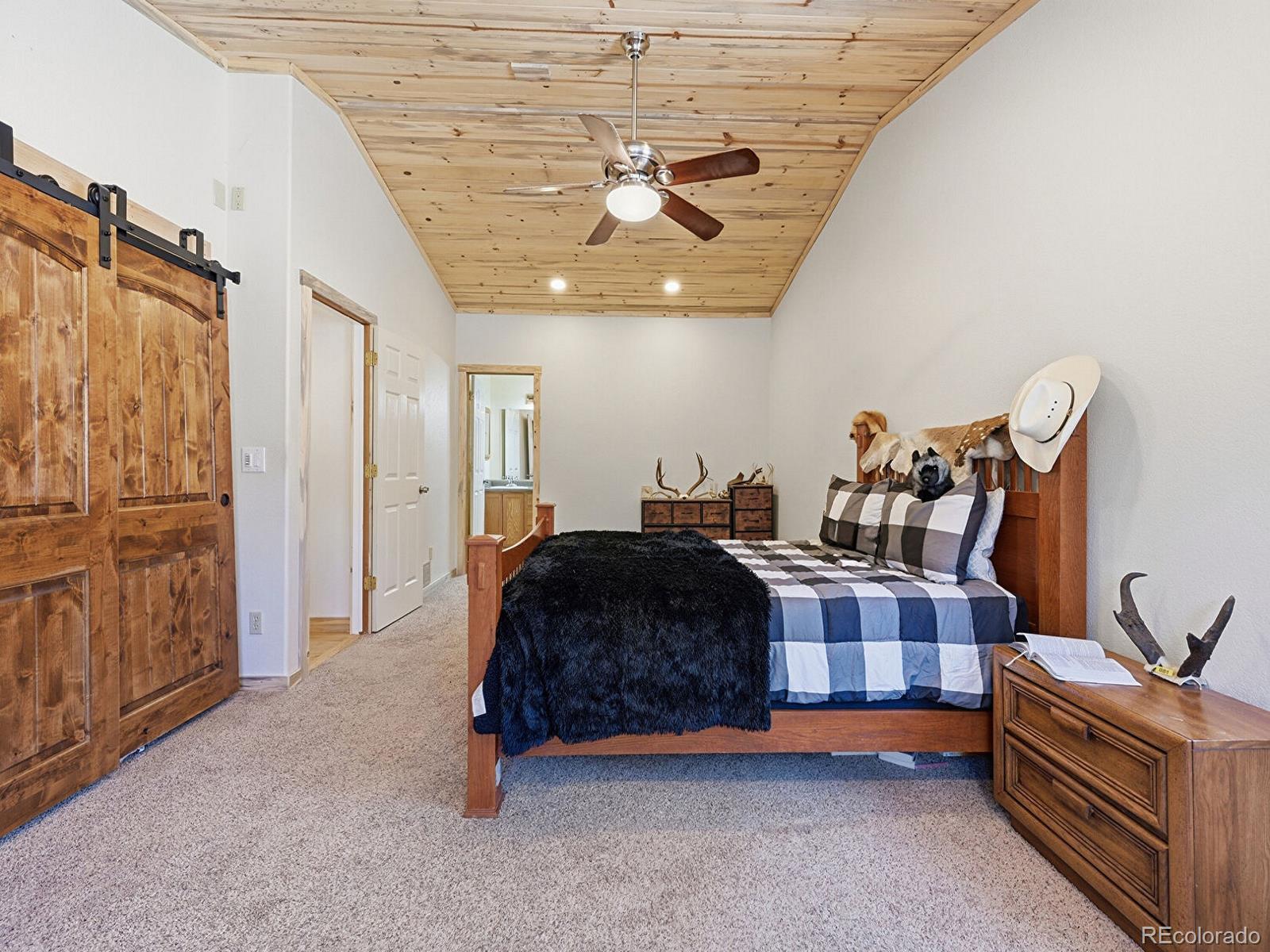 234 Impala Trail Bailey, CO 80421 - Photo 16 of 50