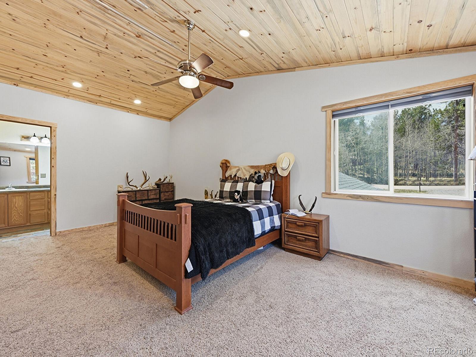 234 Impala Trail Bailey, CO 80421 - Photo 17 of 50