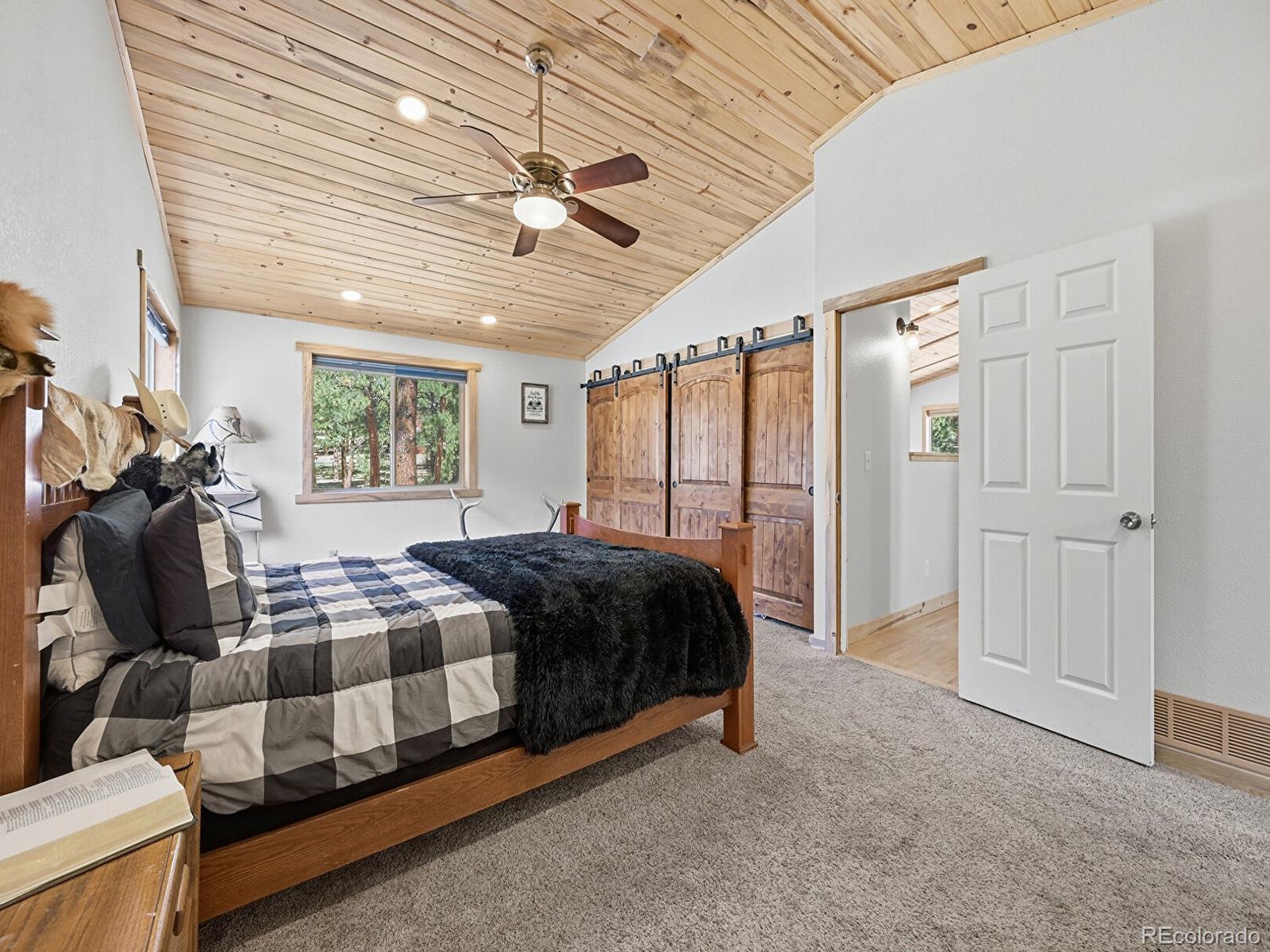 234 Impala Trail Bailey, CO 80421 - Photo 18 of 50