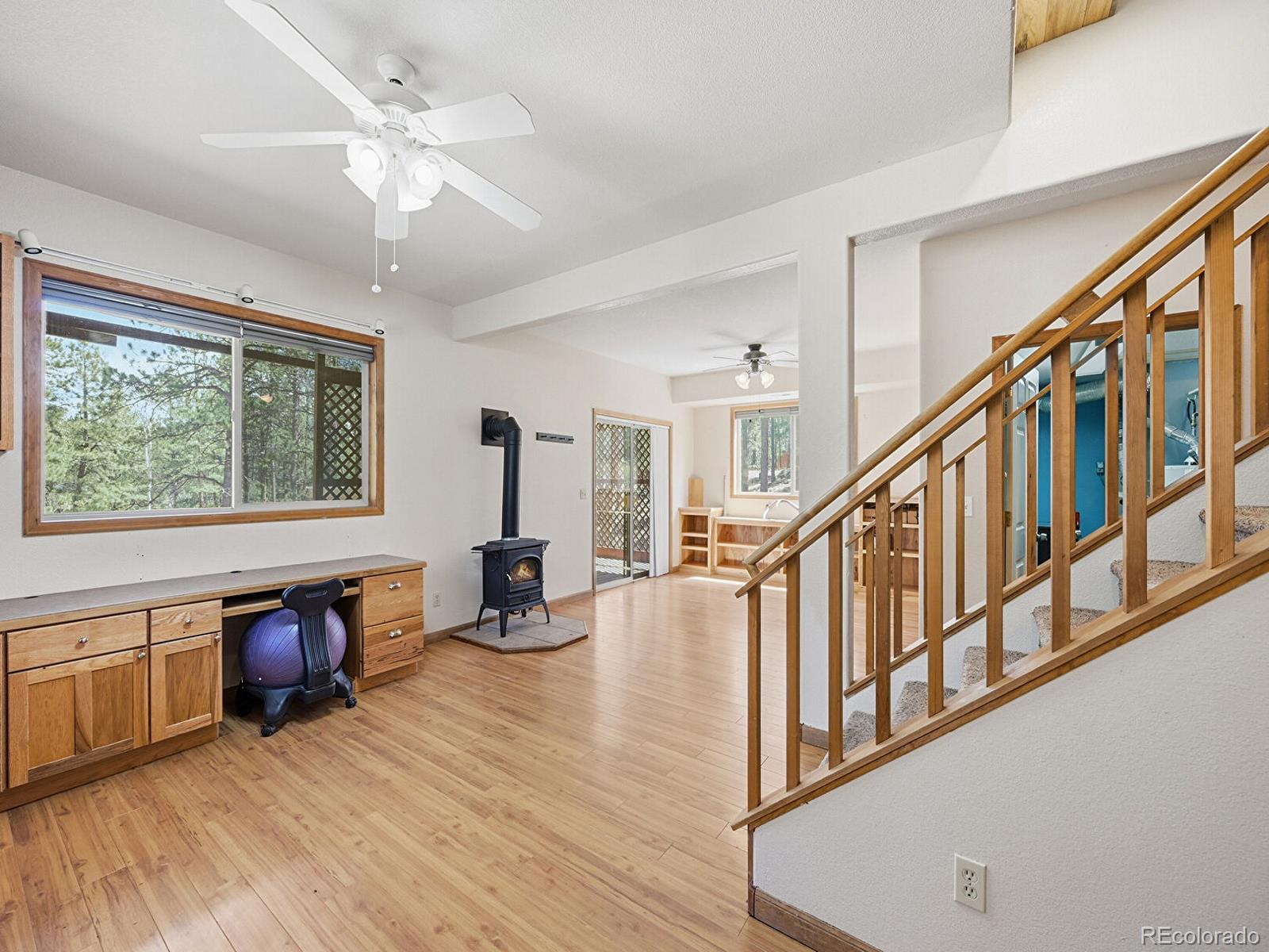 234 Impala Trail Bailey, CO 80421 - Photo 21 of 50