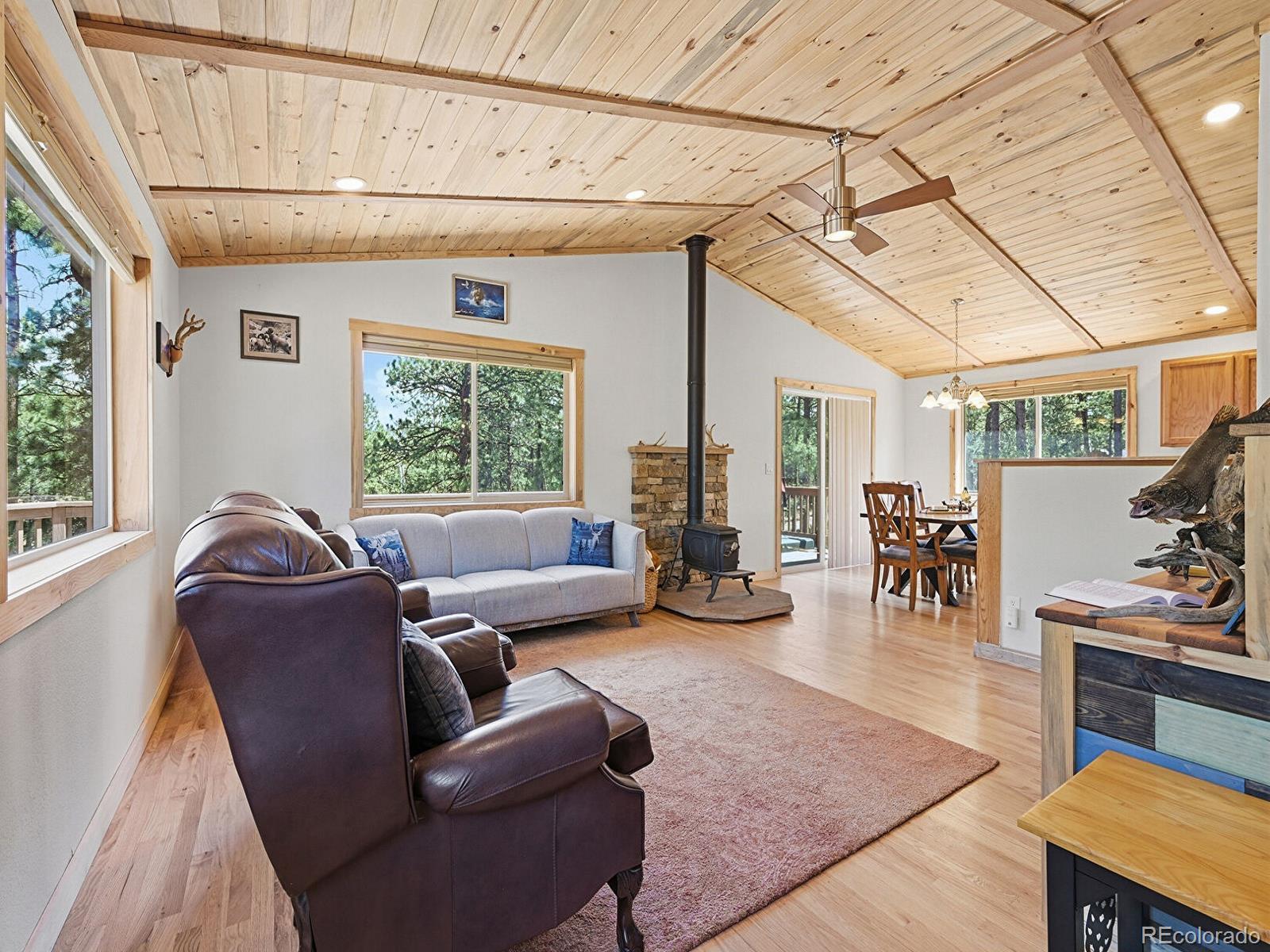 234 Impala Trail Bailey, CO 80421 - Photo 3 of 50
