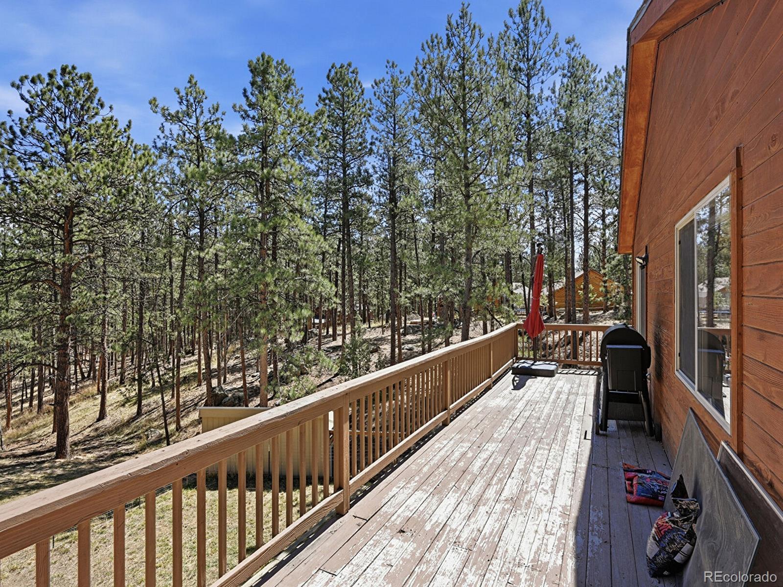 234 Impala Trail Bailey, CO 80421 - Photo 33 of 50