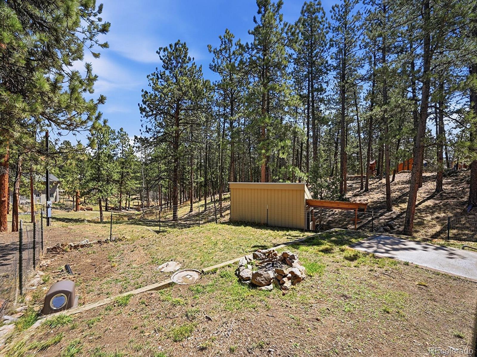 234 Impala Trail Bailey, CO 80421 - Photo 37 of 50