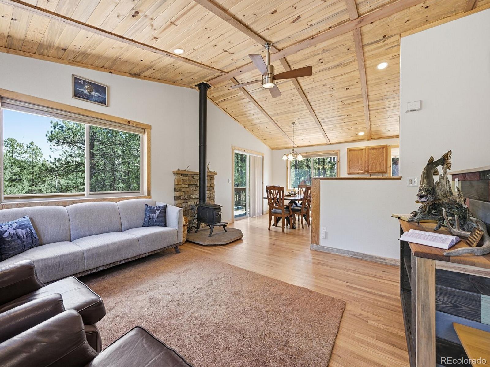 234 Impala Trail Bailey, CO 80421 - Photo 4 of 50