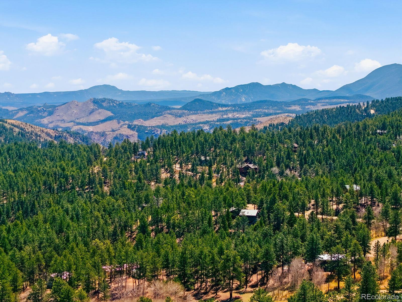 234 Impala Trail Bailey, CO 80421 - Photo 41 of 50
