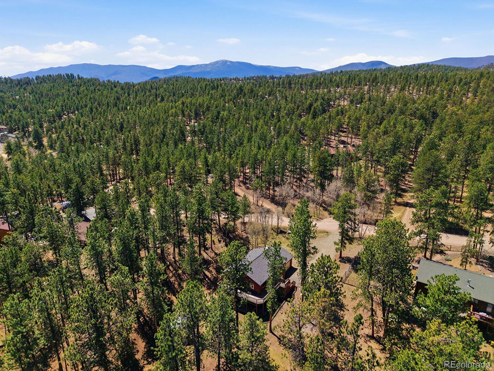 234 Impala Trail Bailey, CO 80421 - Photo 42 of 50