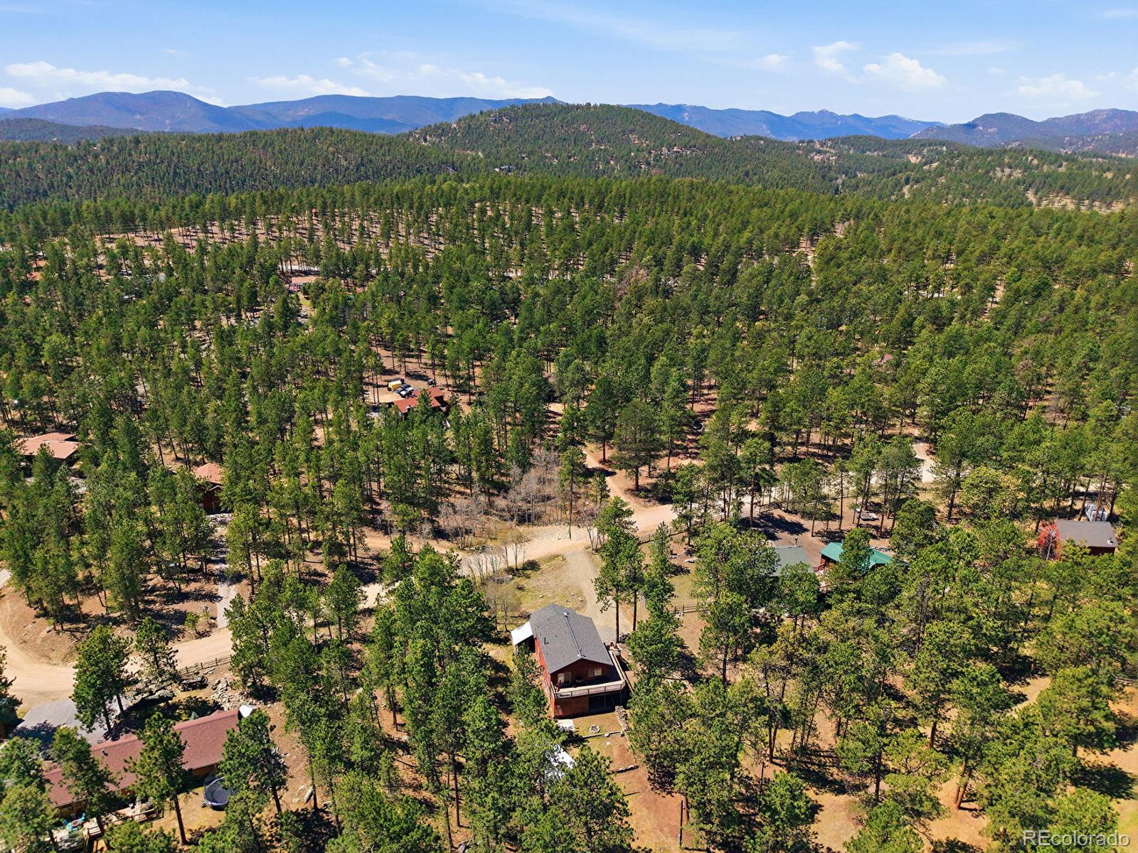 234 Impala Trail Bailey, CO 80421 - Photo 43 of 50