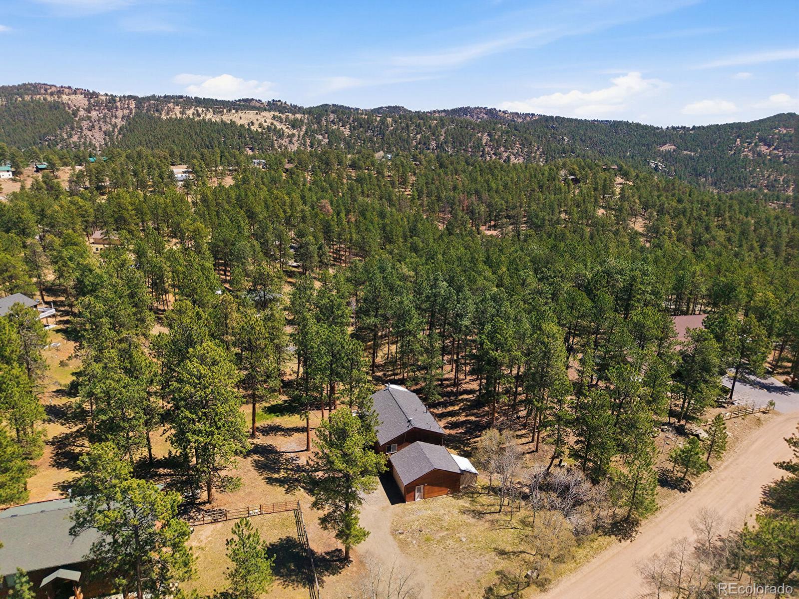 234 Impala Trail Bailey, CO 80421 - Photo 44 of 50