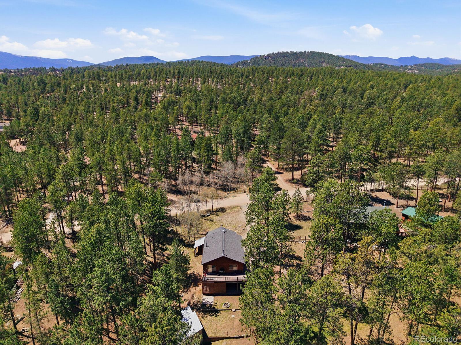 234 Impala Trail Bailey, CO 80421 - Photo 46 of 50