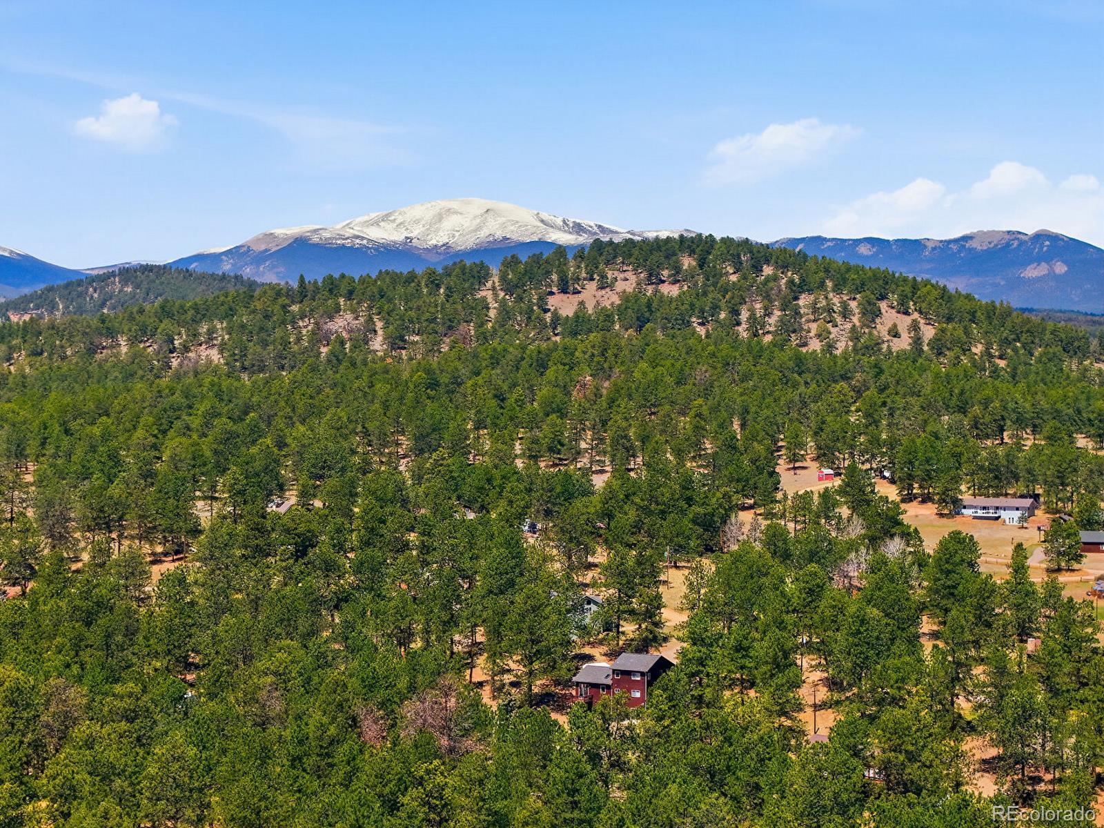 234 Impala Trail Bailey, CO 80421 - Photo 47 of 50