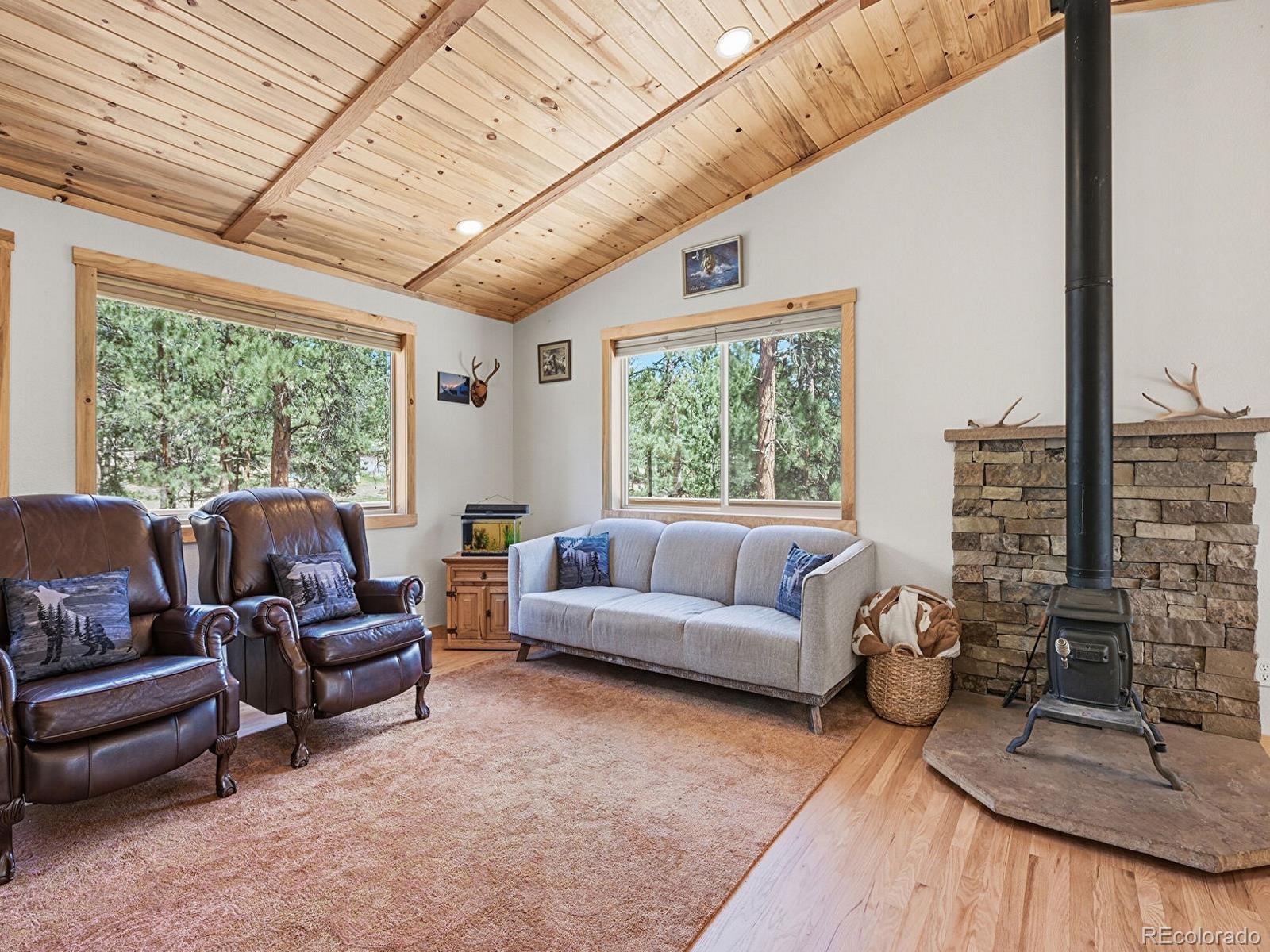 234 Impala Trail Bailey, CO 80421 - Photo 5 of 50