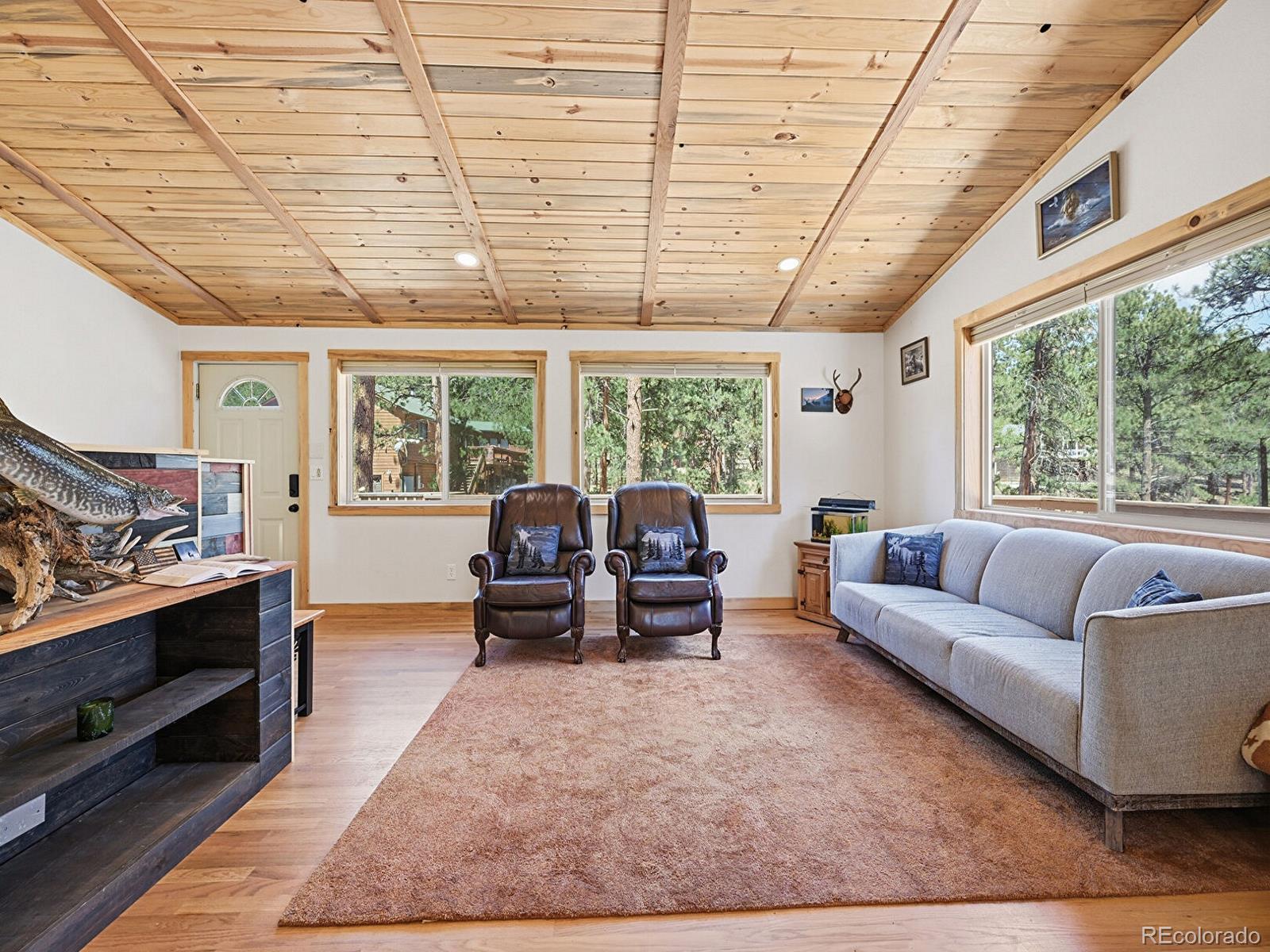234 Impala Trail Bailey, CO 80421 - Photo 6 of 50