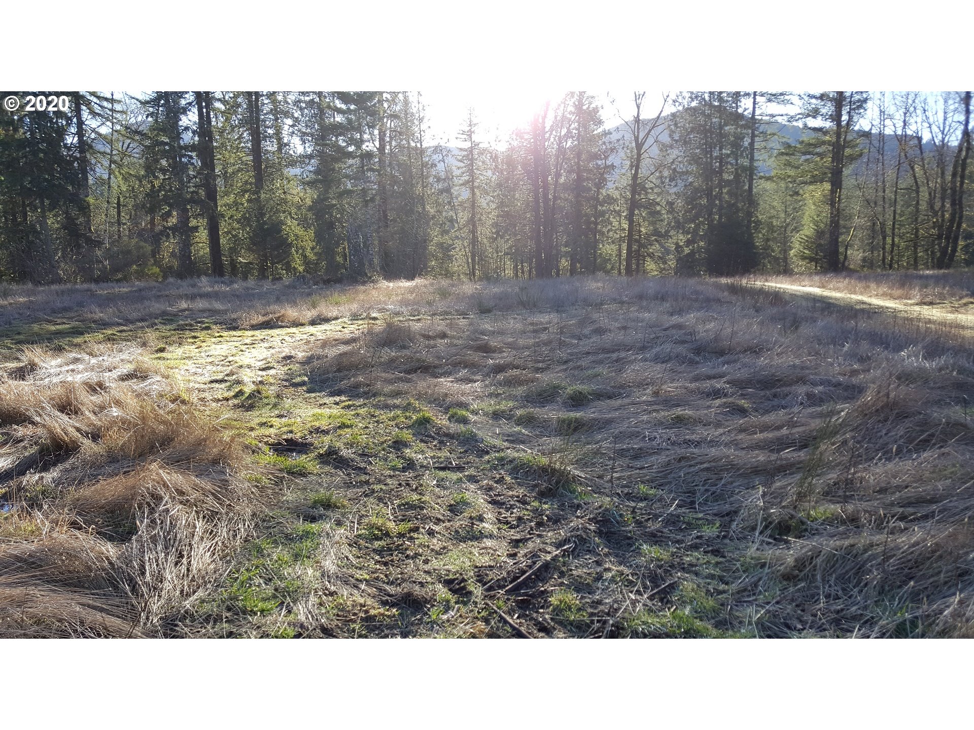 22542 Brightwater Way Rhododendron, OR 97049 - Photo 1 of 12 Gallery Image 1