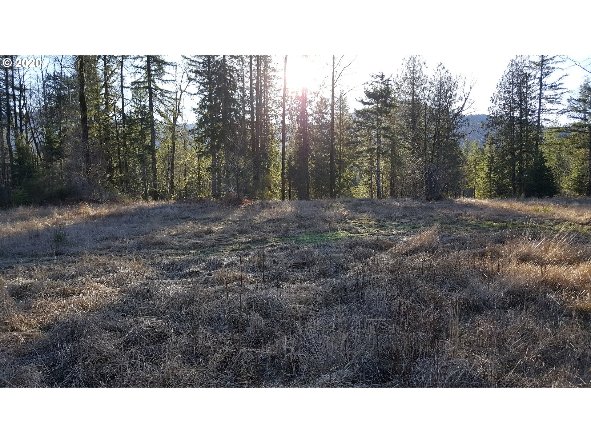 22542 Brightwater Way Rhododendron, OR 97049 - Photo 2 of 12 Gallery Image 2