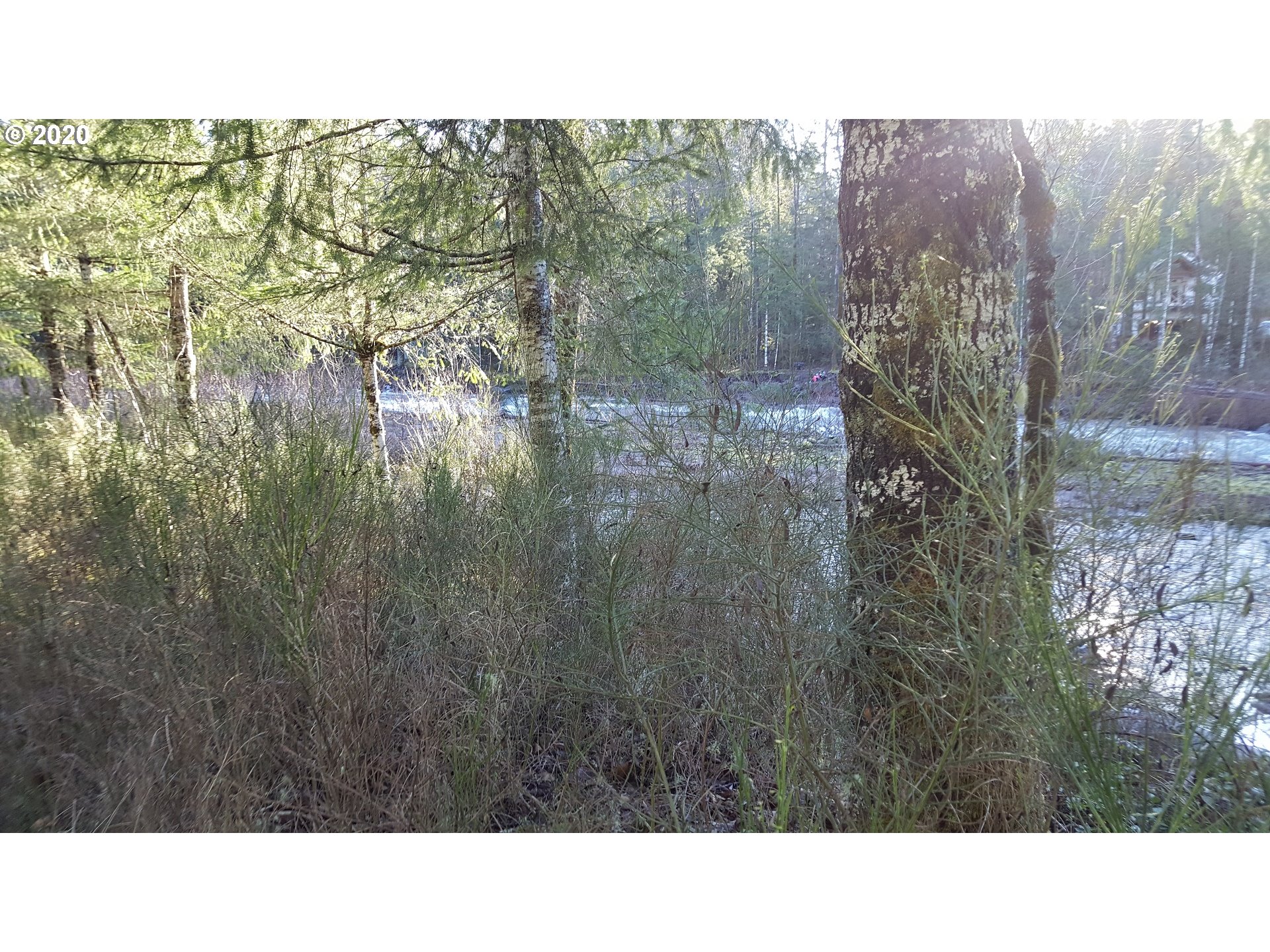 22542 Brightwater Way Rhododendron, OR 97049 - Photo 11 of 12 Gallery Image 11