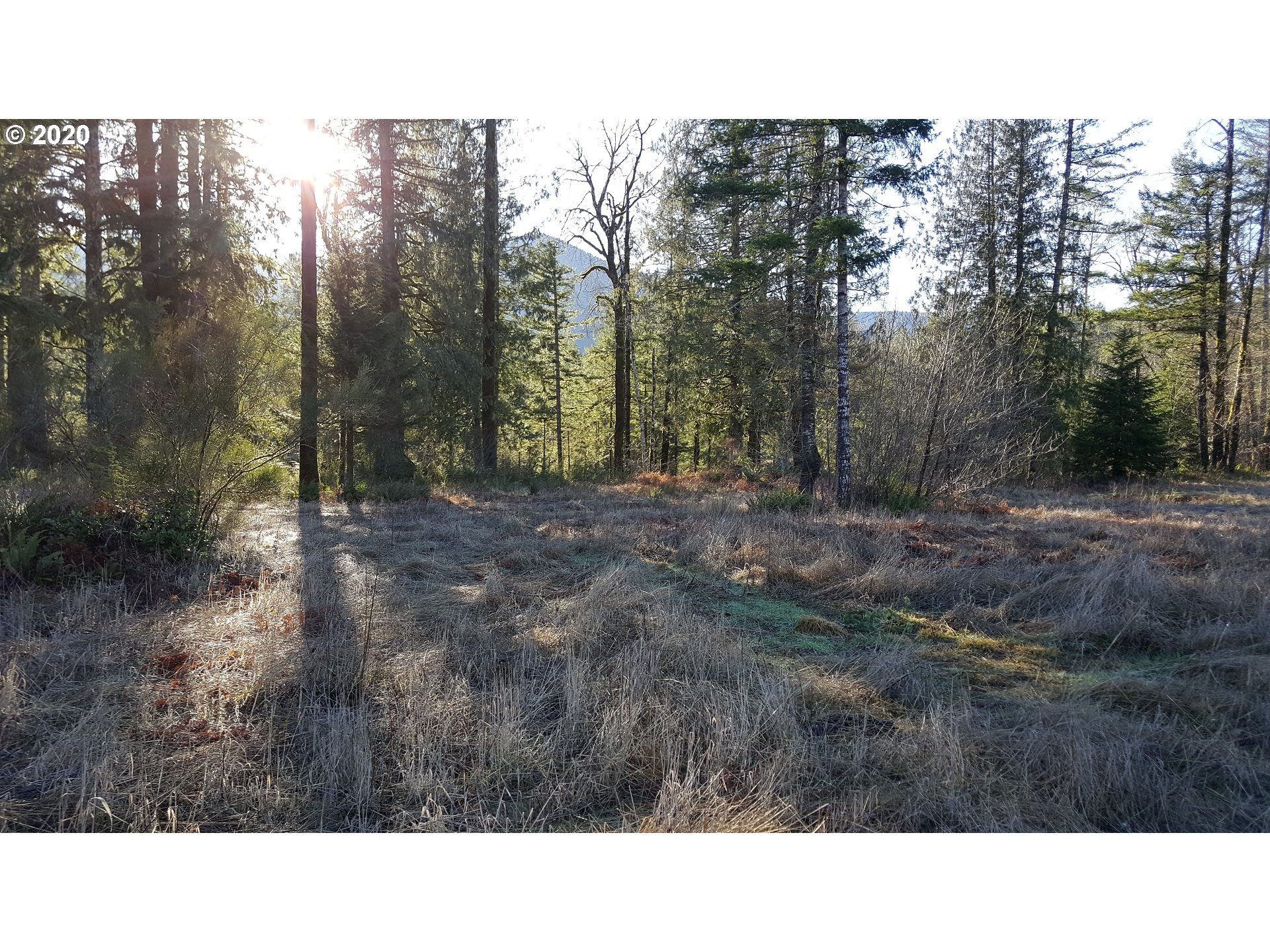 22542 Brightwater Way Rhododendron, OR 97049 - Photo 3 of 12 Gallery Image 3