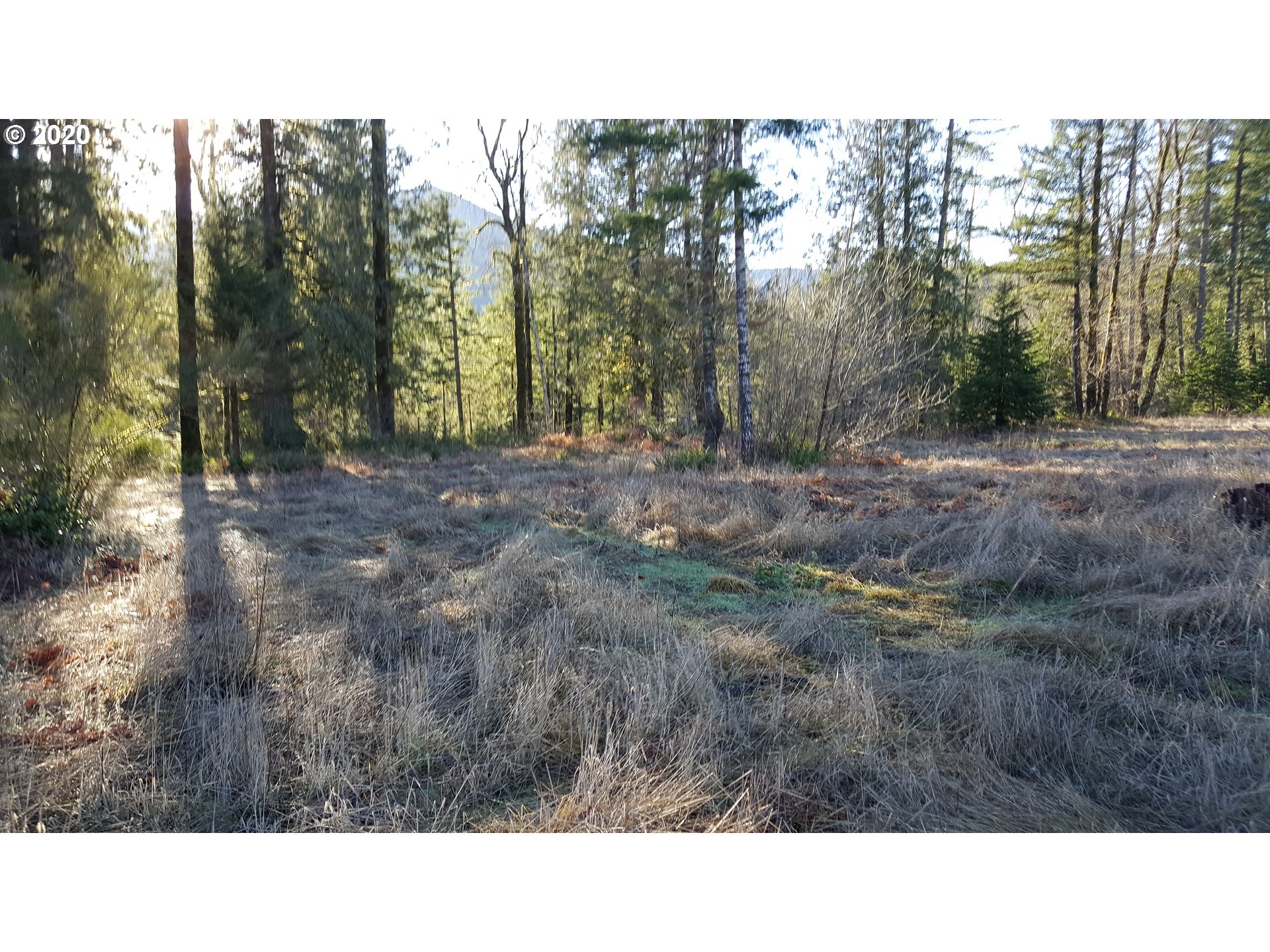 22542 Brightwater Way Rhododendron, OR 97049 - Photo 5 of 12 Gallery Image 5