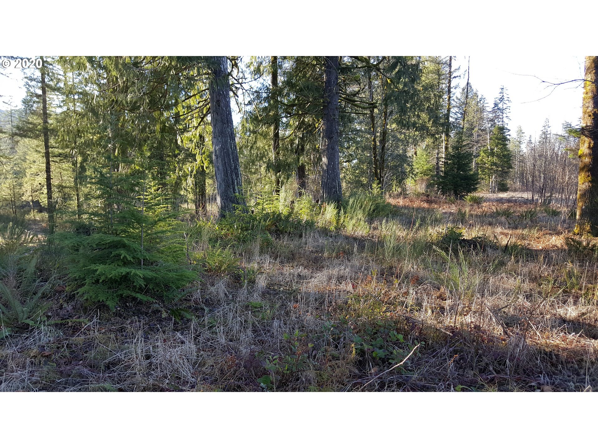 22542 Brightwater Way Rhododendron, OR 97049 - Photo 6 of 12 Gallery Image 6