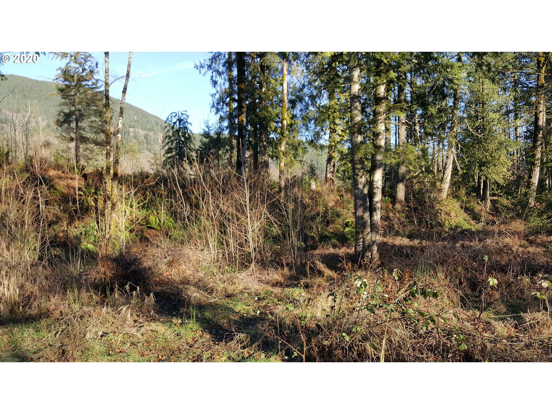 22542 Brightwater Way Rhododendron, OR 97049 - Photo 9 of 12 Gallery Image 9