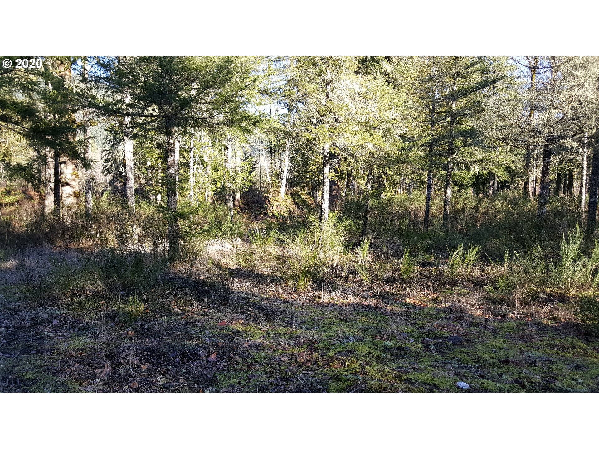 22542 Brightwater Way Rhododendron, OR 97049 - Photo 10 of 12 Gallery Image 10