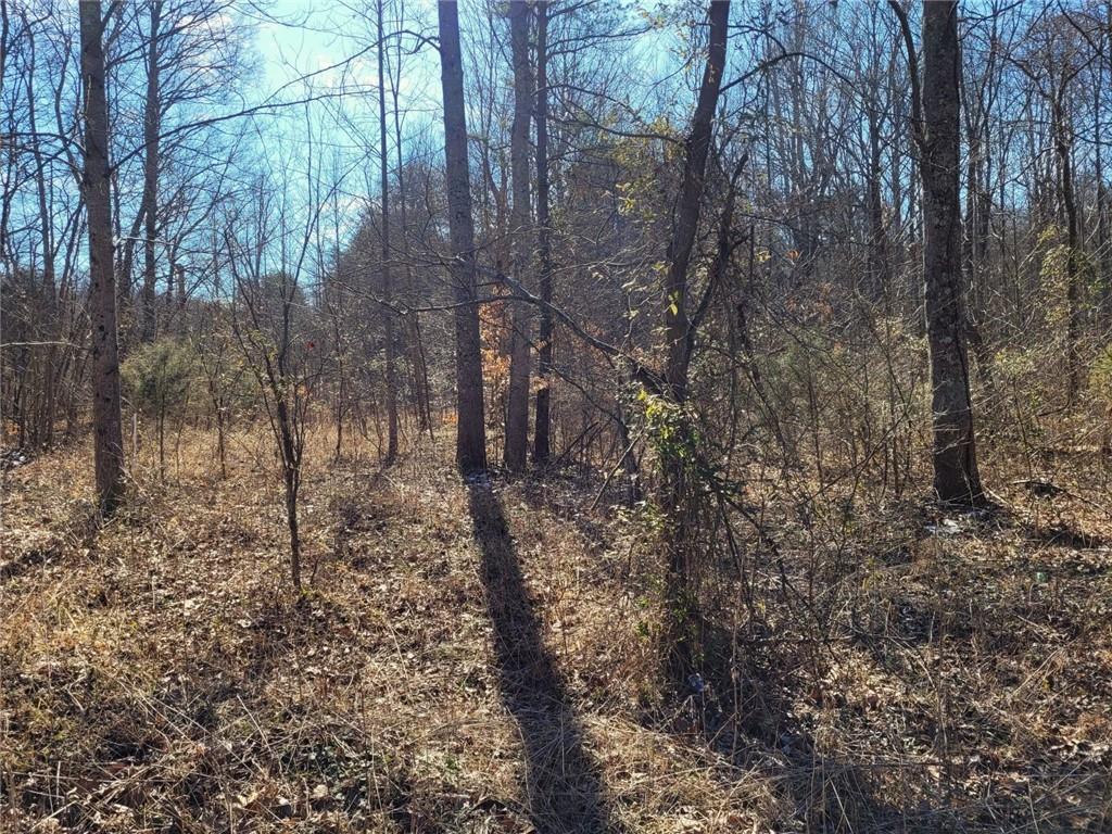 0 South Concord Road Lexington, IN 47138 - Photo 2 of 7