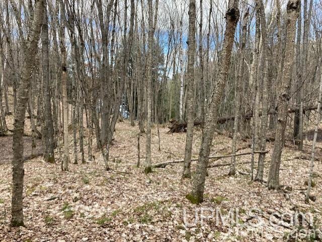Tbd Channel Road Watersmeet, MI 49969 - Photo 27 of 33 Gallery Image 27