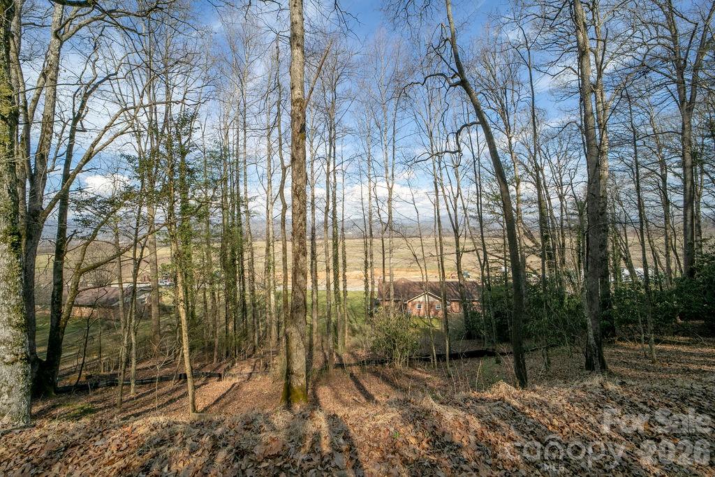 Lot 4 Middlemount Road Pisgah Forest, NC 28768 - Photo 2 of 12 a view of backyard with green space