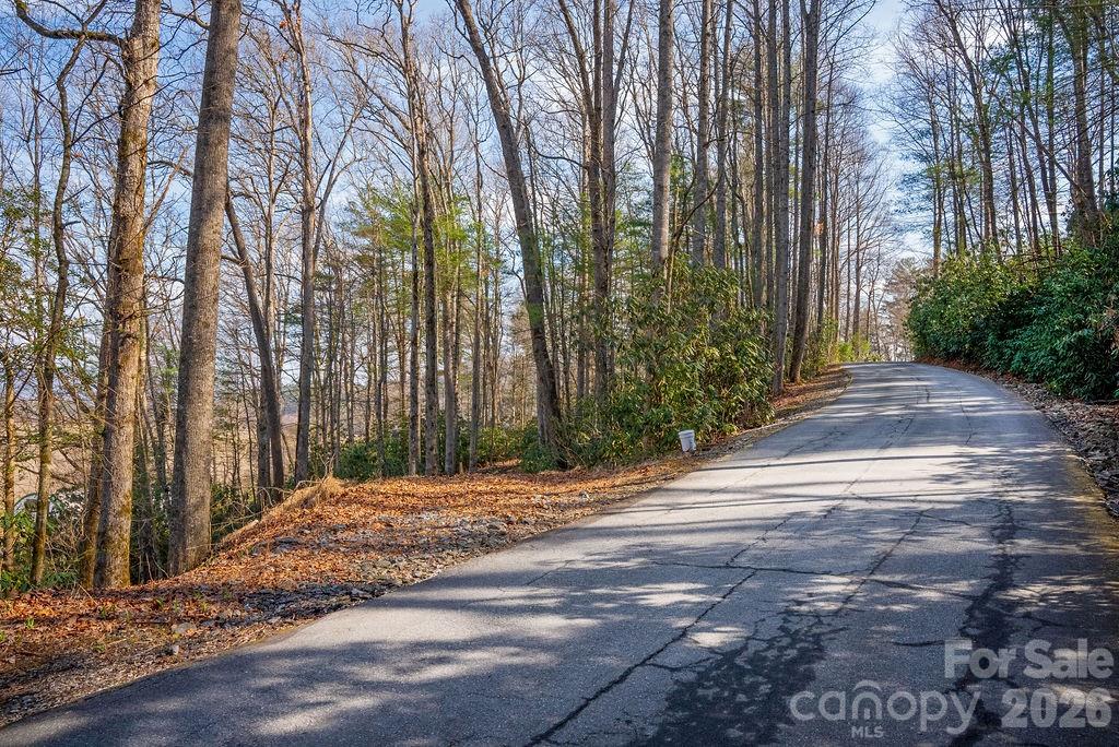 Lot 4 Middlemount Road Pisgah Forest, NC 28768 - Photo 4 of 12 a view of backyard with green space