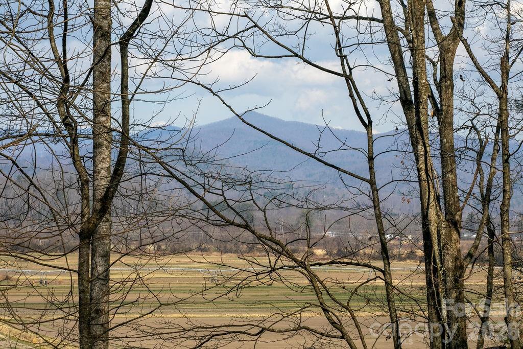 Lot 4 Middlemount Road Pisgah Forest, NC 28768 - Photo 5 of 12 a backyard of a house with lots of green space