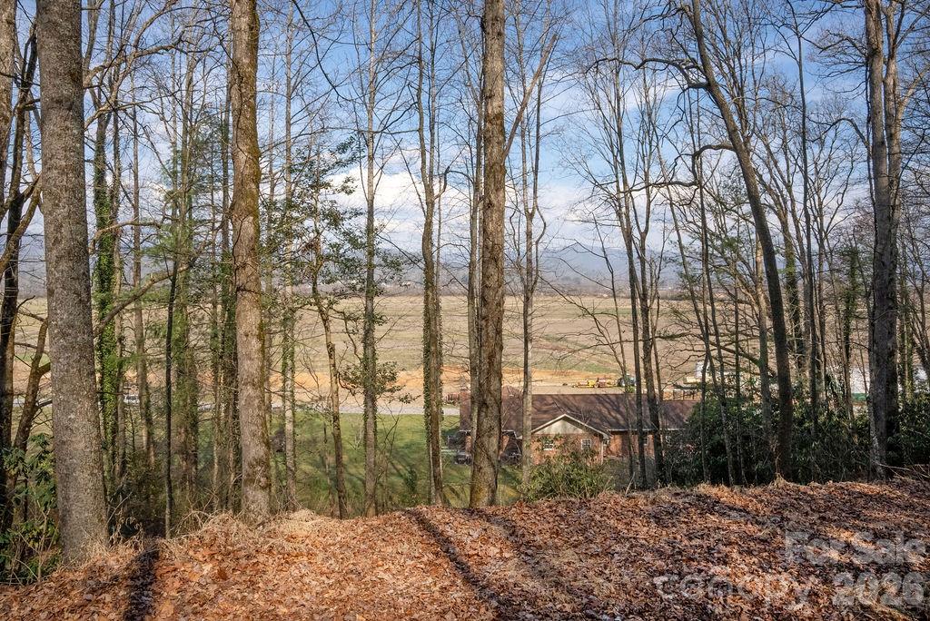 Lot 4 Middlemount Road Pisgah Forest, NC 28768 - Photo 6 of 12 a view of a backyard of the house
