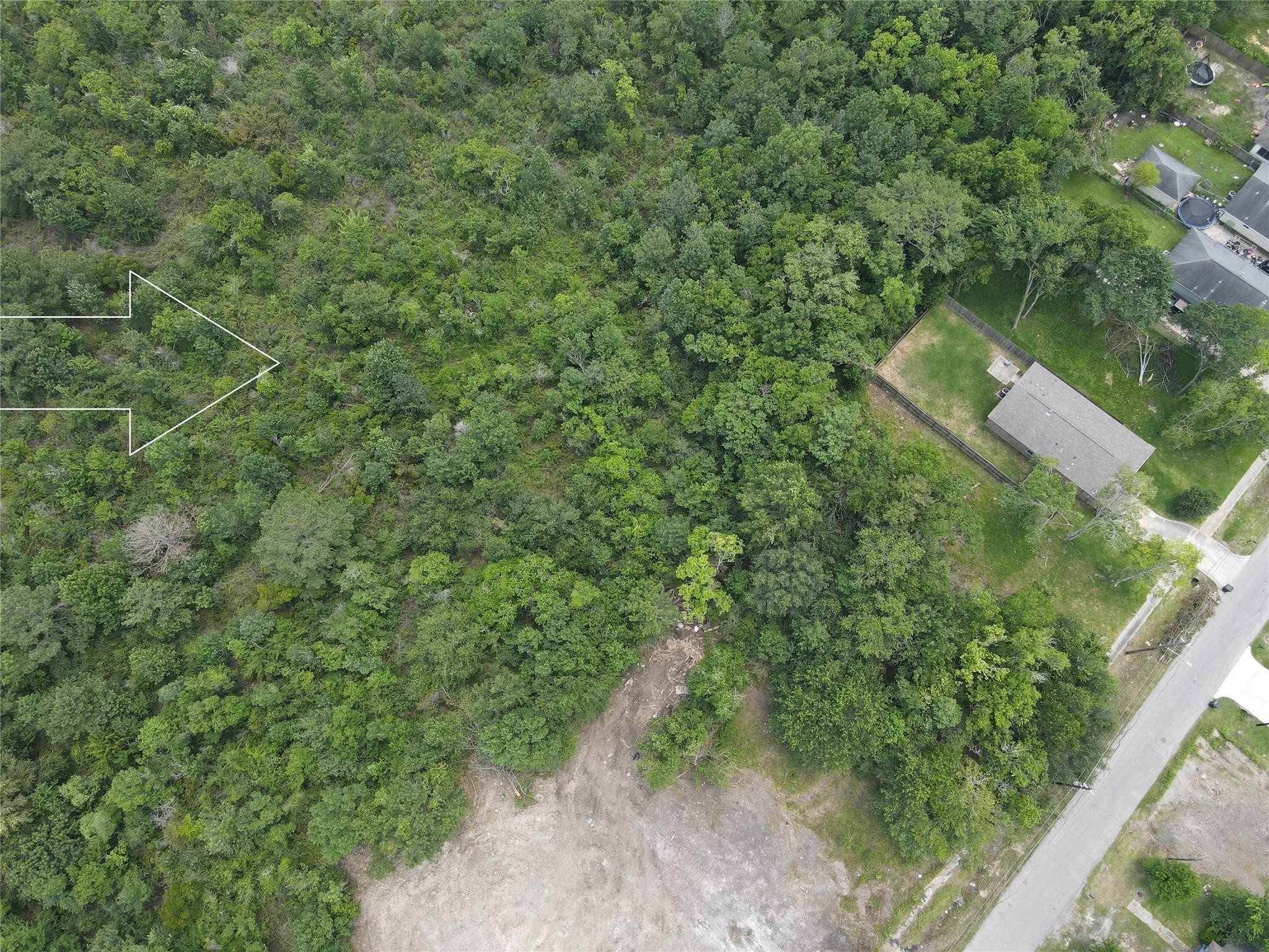 Tbd Norwich Street Houston, TX 77028 - Photo 2 of 6 a view of a forest with a street