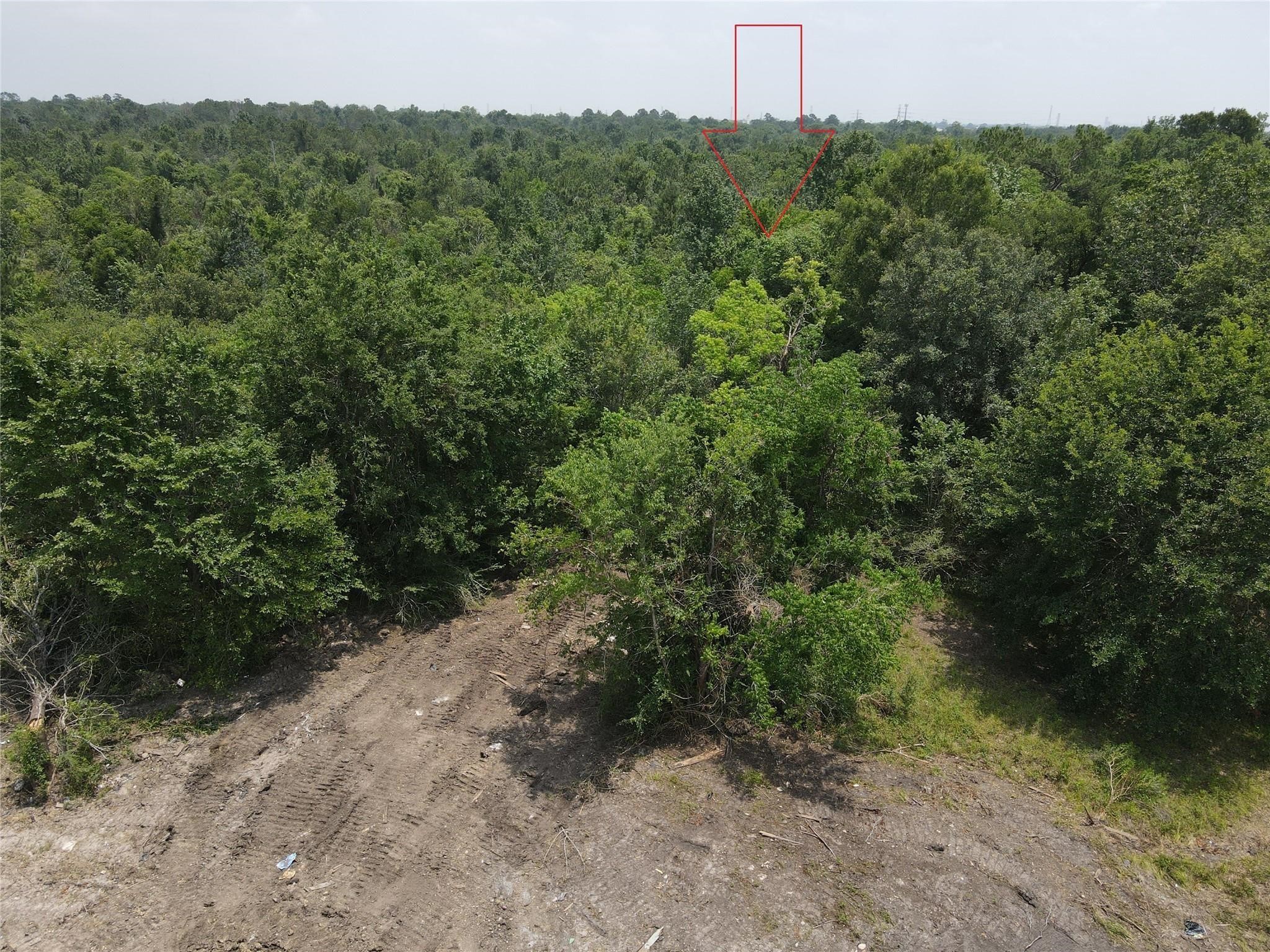 Tbd Norwich Street Houston, TX 77028 - Photo 5 of 6 a view of a forest with a tree in the background