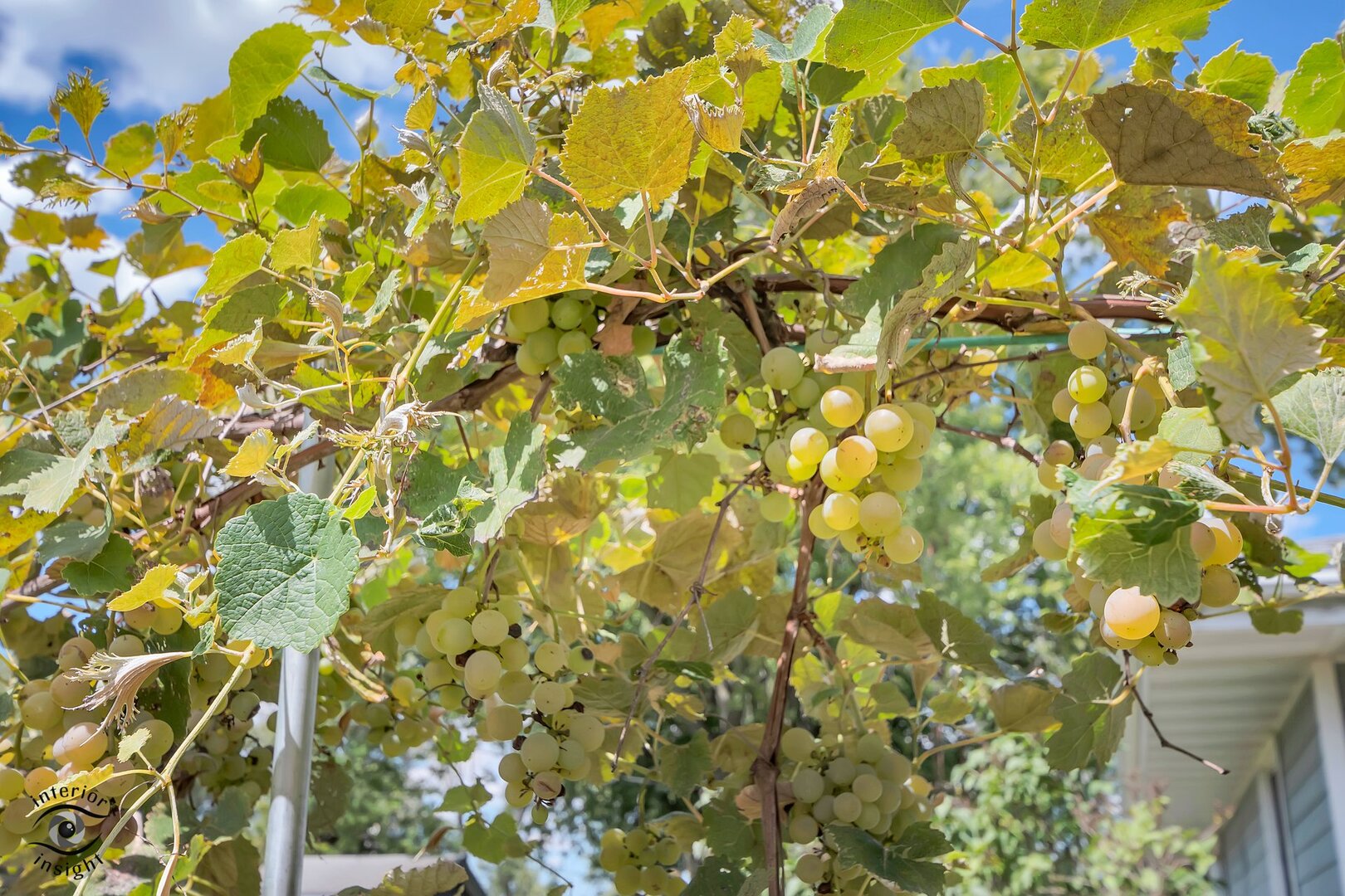 2434 North 7000 Road West Bonfield, IL 60913 - Photo 17 of 36 a bathroom with a sink and a mirror