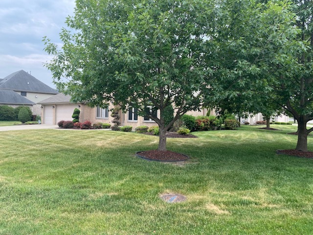 Undisclosed Address Olympia Fields, IL 60461 - Photo 2 of 31 a front view of a house with a yard