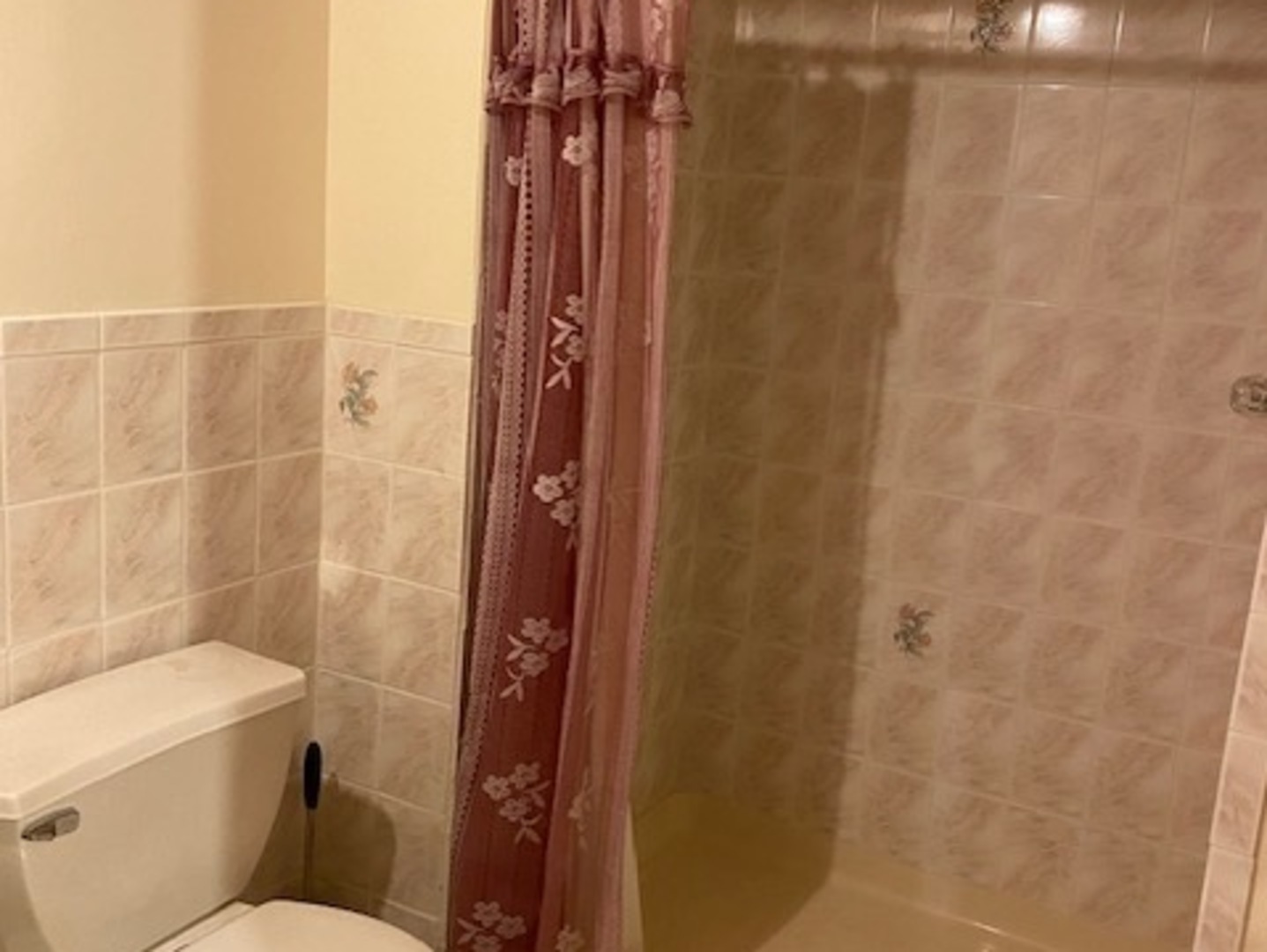 Undisclosed Address Olympia Fields, IL 60461 - Photo 30 of 31 a bathroom with a toilet and a shower