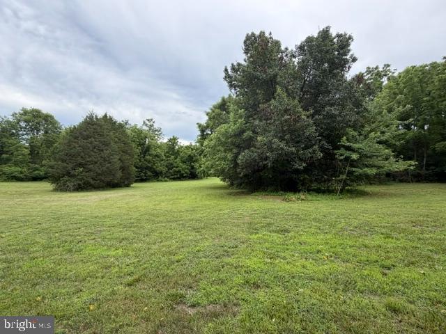 1801 Old Chapel Road Boyce, VA 22620 - Photo 25 of 31 Lush Grass Just Waiting to be Nibbled.