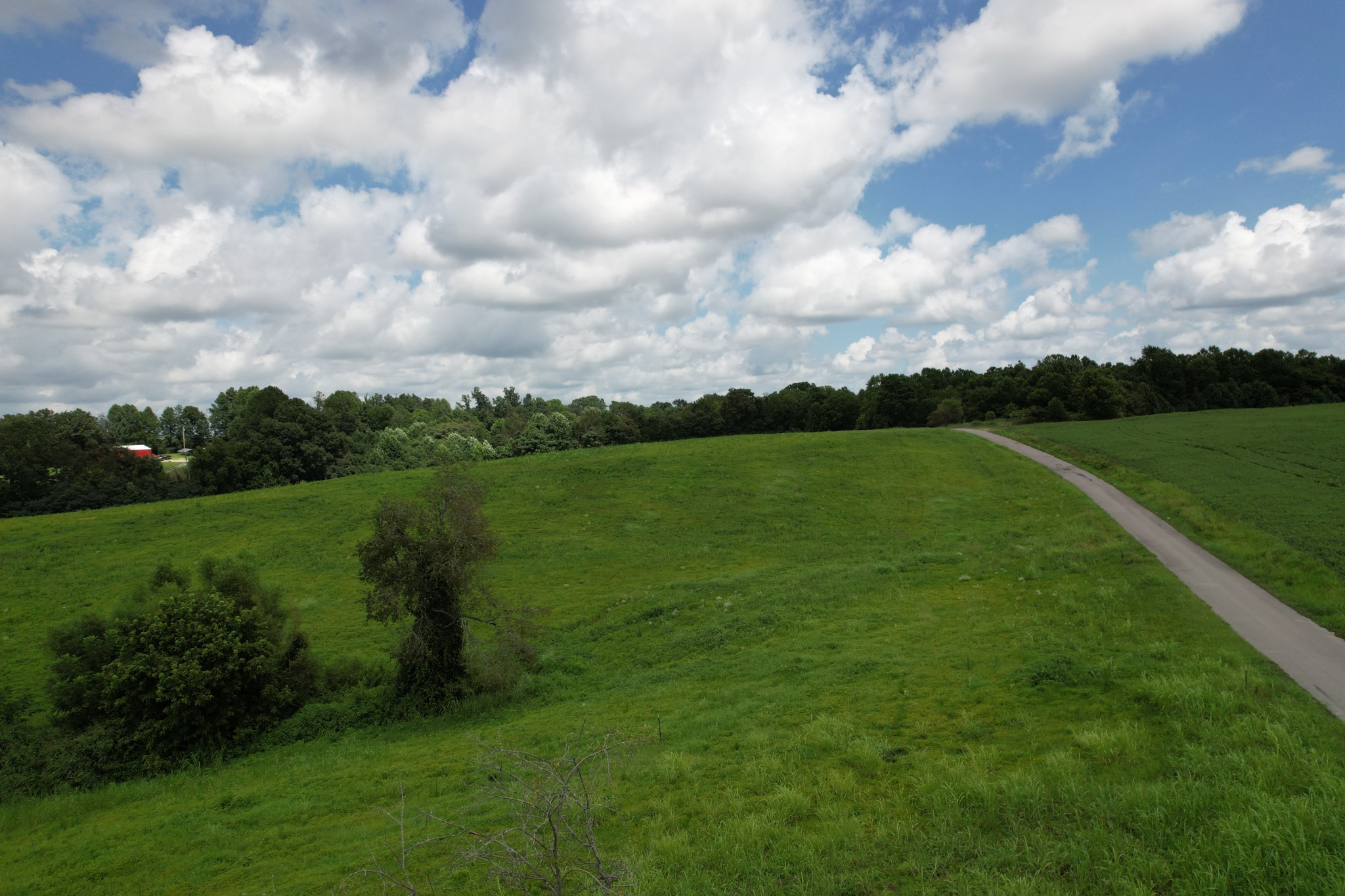 0 Gentry Road Red Boiling Springs, TN 37150 - Photo 11 of 11 Gallery Image 11