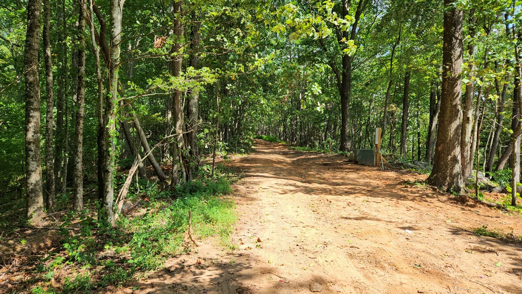 Lot 32 Calvender Road Turtletown, TN 37391 - Photo 4 of 15 Gallery Image 4