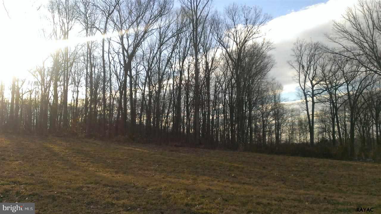 Lot Ness Ness Road Red Lion, PA 17356 - Photo 1 of 1 Gallery Image 1