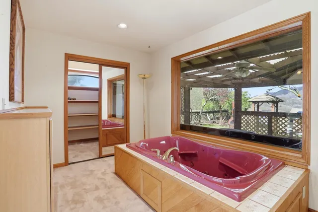 a view of a backyard with potted plants and large tree
