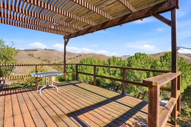 a view of a garden with a tree