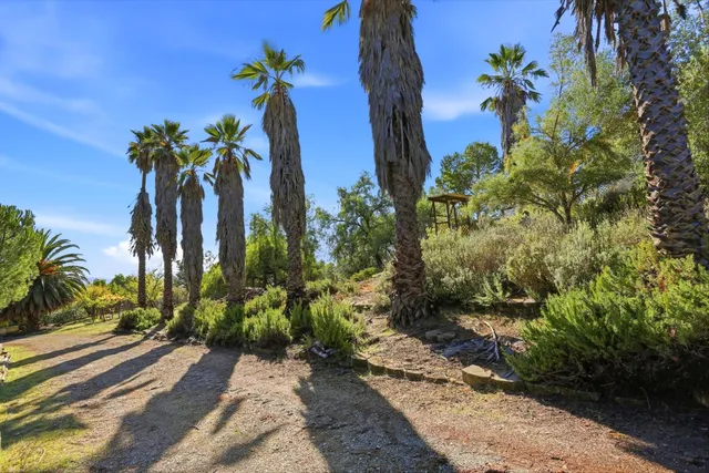a view of a yard with a mountain