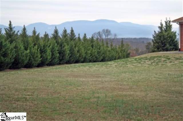 291 State Rd S-42-7057 Campobello, SC 29322 - Photo 5 of 15