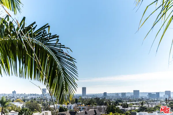 a view of a palm plant that is in front of a building