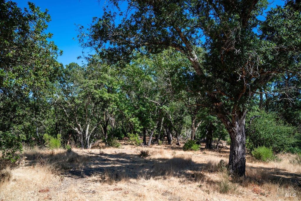 0 Mount Veeder Rd Street Napa, CA 94558 - Photo 10 of 26